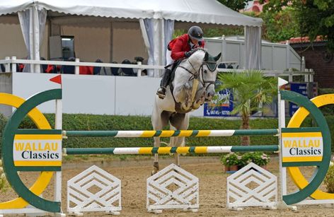 27. Wallau Classics