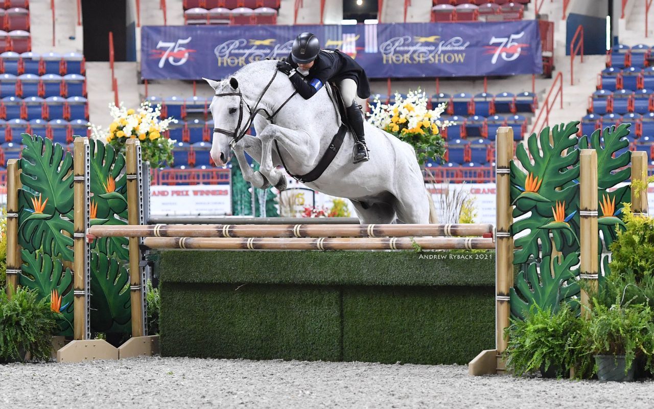 Low Junior Jumper Table II 2D - Pennsylvania National Horse Show 