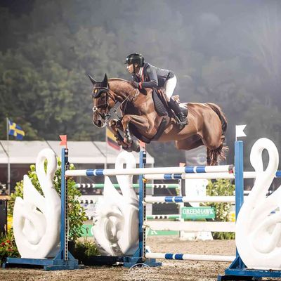 CEP 6 - Nations Cup of Caledon CSIO3*