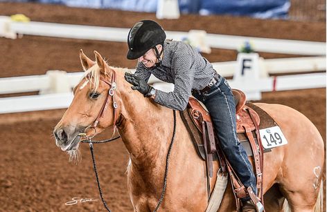 WDAA World Championship Show