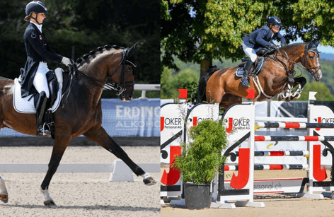 Zurich Masters