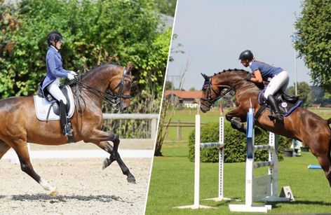 Großes Dressur- und Springturnier Holzkirchen-Thann