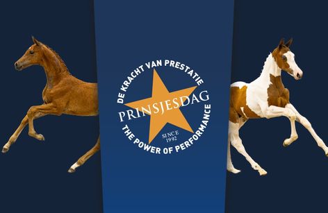 Veulenveiling Prinsjesdag Ermelo