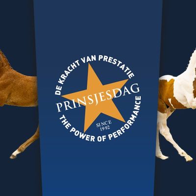 Veulenveiling Prinsjesdag Ermelo