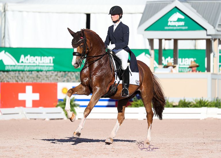 Live Stream Adequan Global Dressage Festival VIII 2024 Videos live-stream-adequan-global-dressage-festival-viii-2024-videos