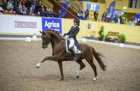 SWB Equestrian Weeks Dressage