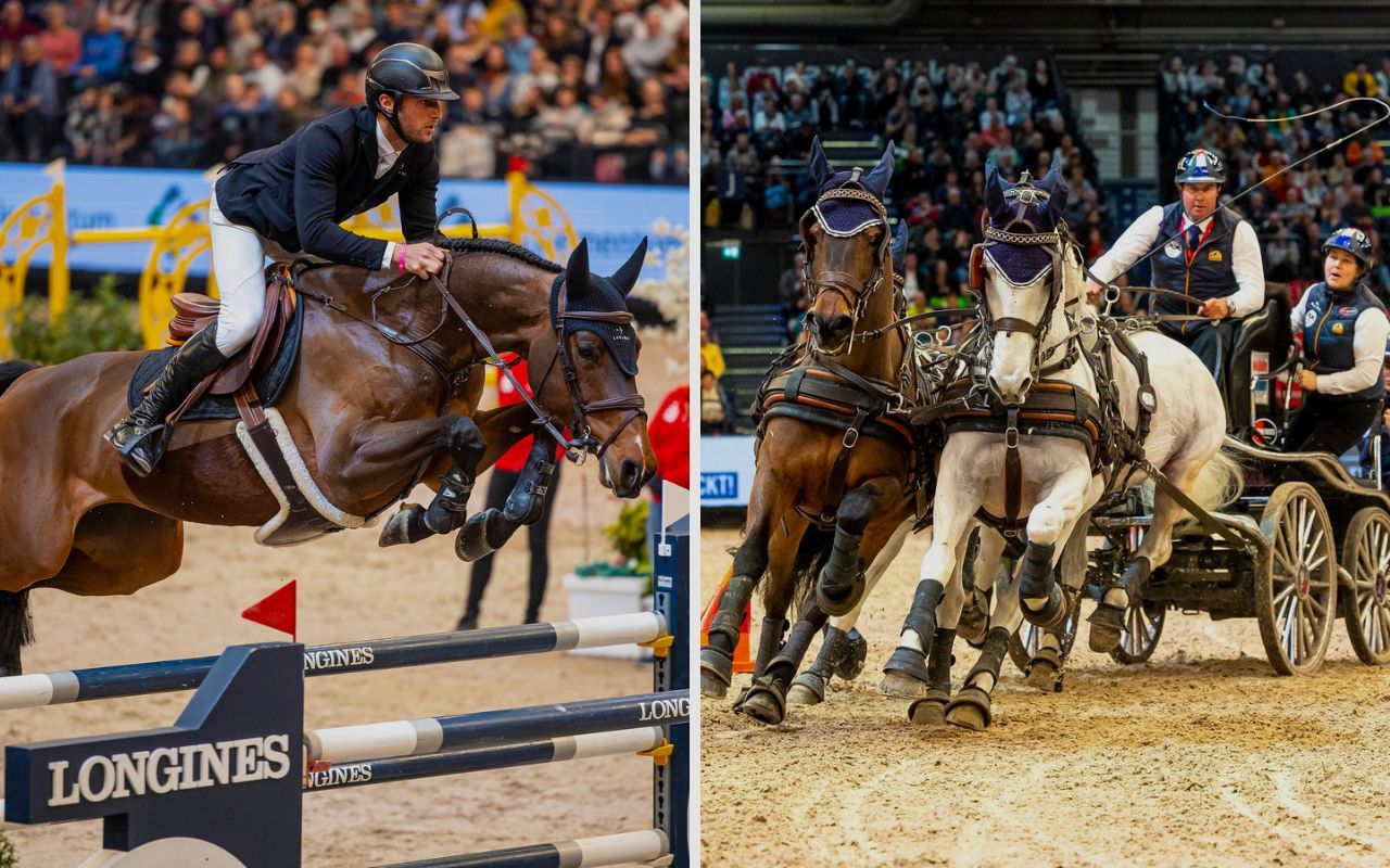 Live Stream Partner Pferd Leipzig FEI World Cup Jumping