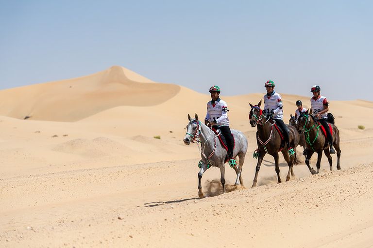 Live Stream - FEI Endurance World Championship™ 2026 - 2026 | Videos ...