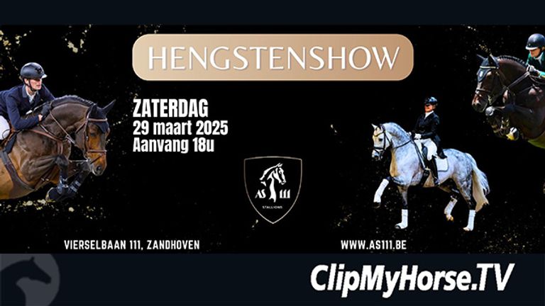 Stallion Streams Live Stream - Stallion show Stud 111 - 2025 | Videos, Live Streams ...