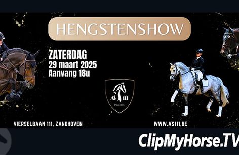Stallion show Stud 111