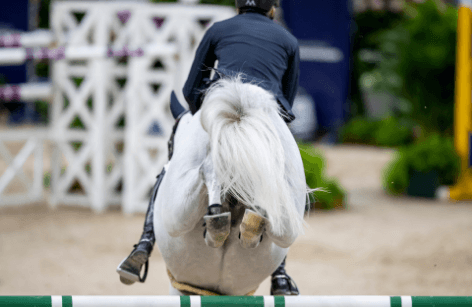 Jumping Baicoi Summer Tour 1