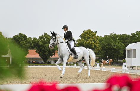 CDI 3* - LIPICA Stud Farm 2025