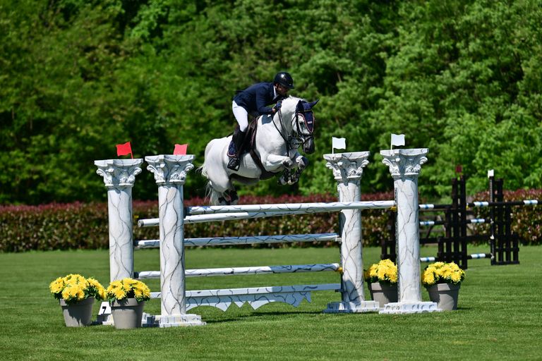 Live Stream - CSI3* Gorla Minore - 2026 | Videos, Live Streams, Films ...