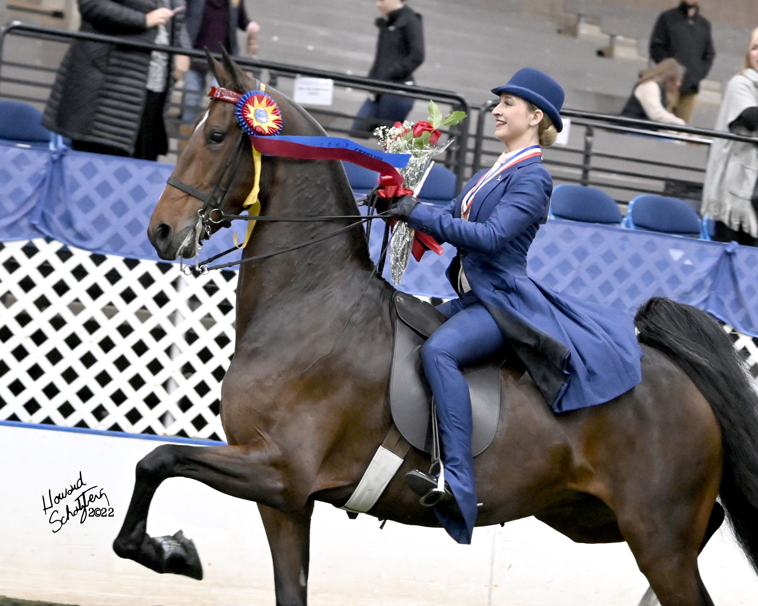 Live Stream - USEF Saddle Seat Medal Final - 2023 | Videos, Live