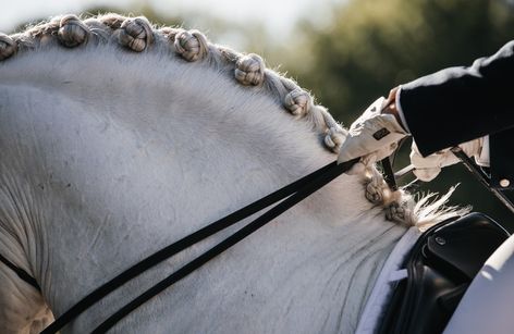 CDN3* Copa ANCCE Equus Duri - Abril 2025