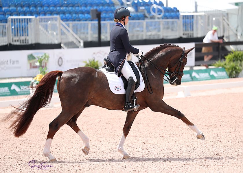 Live Stream Adequan Global Dressage Festival XII 2024 Videos