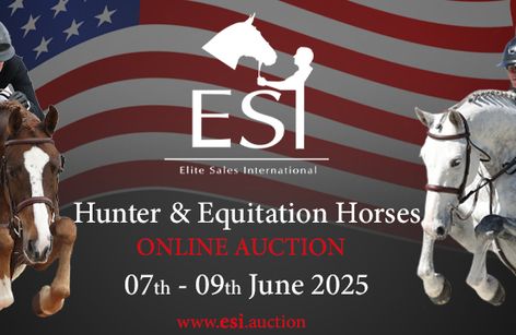 ESI Stars & Stripes Hunter & Equitation Horses Online Auction
