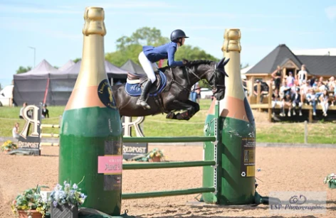 Chard - Summer Pony Premier
