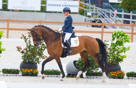 CPEDI3* PEELBERGEN