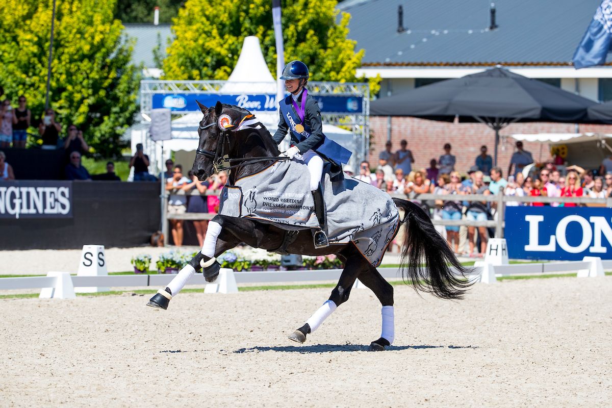 FEI WBFSH Dressage World Breeding Championship for Young Horses 2026