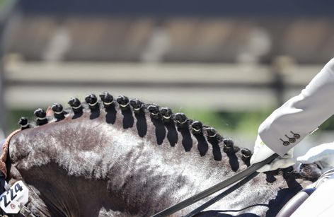 Campeonato de España de Doma Clásica de Caballos Jóvenes 2025