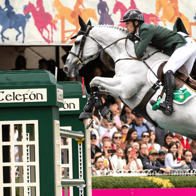 RDS Dublin Horse Show