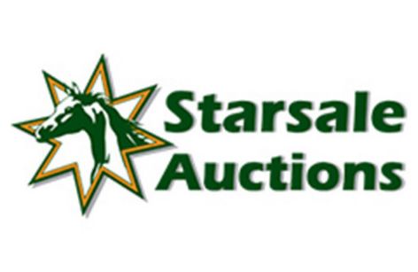 Starsale Auctions 2025