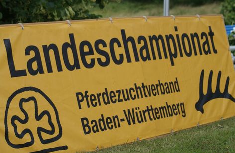 Landeschampionate und Landesstutenschau Baden-Württemberg