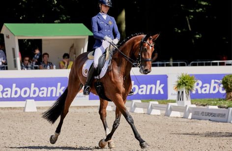 FEI Para Dressage European Championship - Ermelo