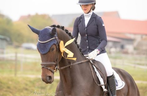 Dressurtage der Reitanlage Winkler