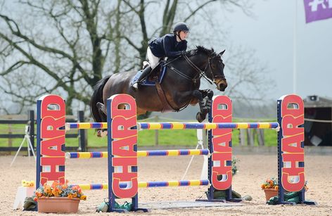 Chard - British Showjumping 4 Day Show incl. Area Trial