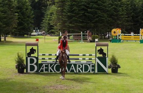 Bækgaarden Pony Festival 2025