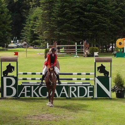 Bækgaarden Pony Festival 2025
