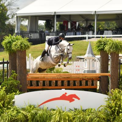 Platinum Performance/USHJA Green Hunter Incentive and International Hunter Derby Championships