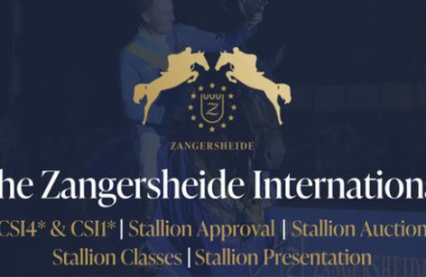 The Zangersheide International
