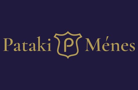 Airvent Lovas Club - CSN - Vármegyék bajnoksága (Nemzeti és felkészítő verseny)