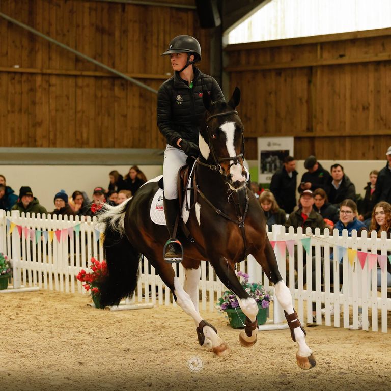 Stallion Streams Live Stream - Breen Equestrian Stallion Parade and Stud Open Day - 2026 ...