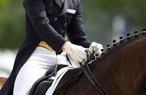 Fehmarn-Pferde-Festival Dressur