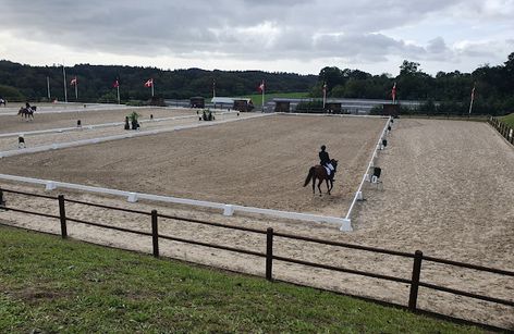 Agria DRF-mesterskab i dressur for ponyhold