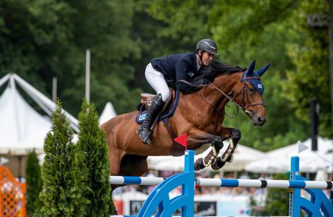 Springturnier Viernheim mit DSP "Shooting Stars" Hybrid-Fohlenauktion