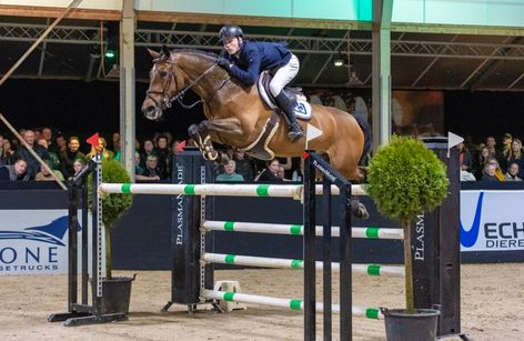 Paard Balkbrug 2025