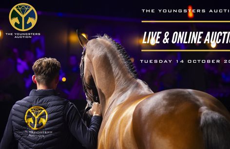 The Youngsters Auction