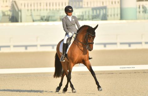 WEC July Dressage presented by Hampton Green Farms