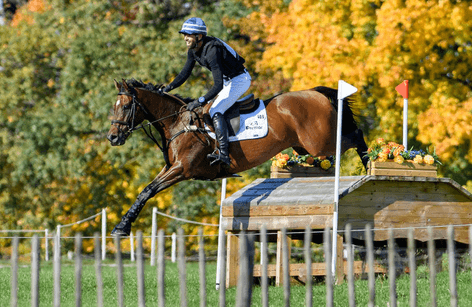 Strzegom Spring Open II 2025