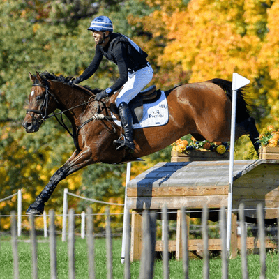 Strzegom Spring Open II 2025