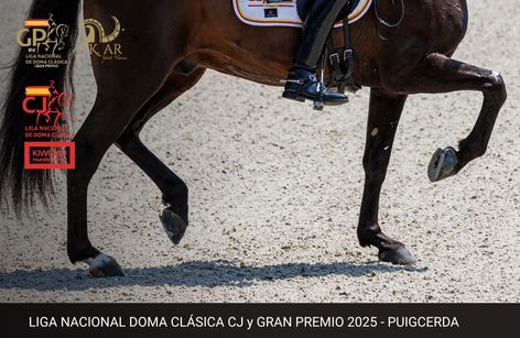 CDN3* La Cerdanya - LIGA NACIONAL DE DOMA CLÁSICA CABALLOS JÓVENES Y GRAN PREMIO 2025