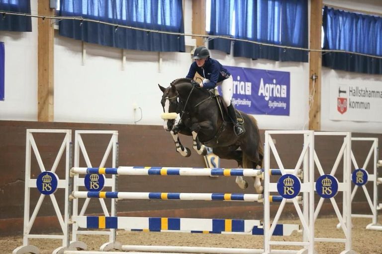 Stallion Streams Live Stream - SWB Stallion Performance Test - 2024 | Videos, Live ...