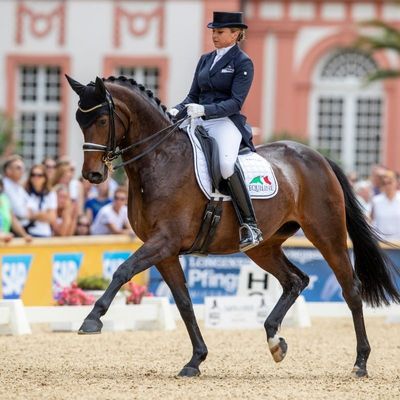 LONGINES PfingstTurnier Wiesbaden