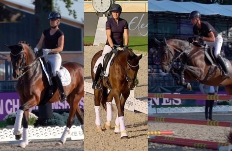ClipMyHorse.TV Academy - Dressage Masterclass mit Christoph Hess