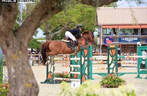Jumping Pro-Am Deauville